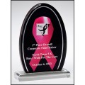 A6934 Breast Cancer Awareness Pink Ribbon Award